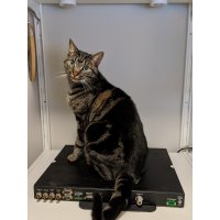 2020-03-17 11.26.47.jpg