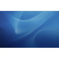 Panther Aqua Blue.jpg