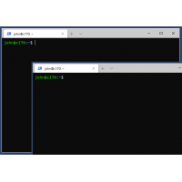 Terminal Border Issue.png